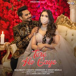 Cover of Tere Ho Gaye