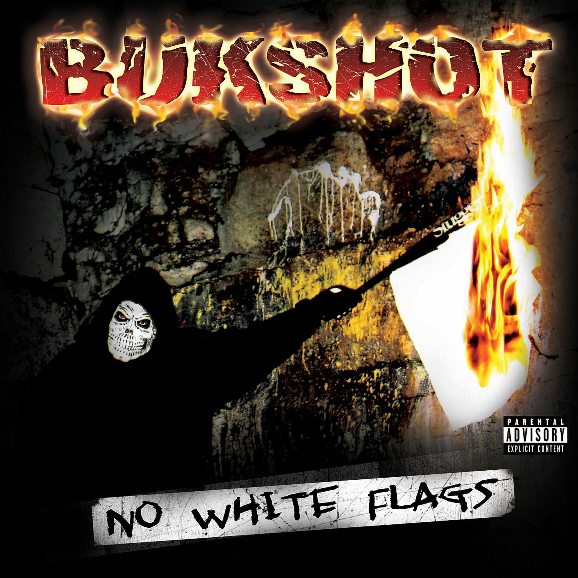 Album cover of No White Flags