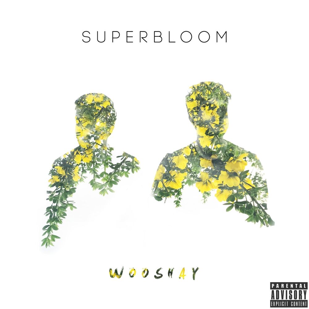 Picture of Superbloom