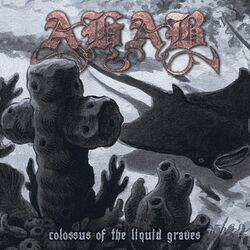 Cover of Colossus of the Liquid Graves