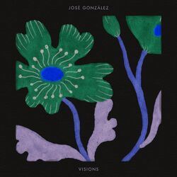 Cover of Visions