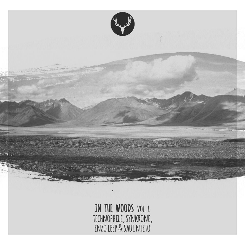 Picture of In The Woods Vol. 1