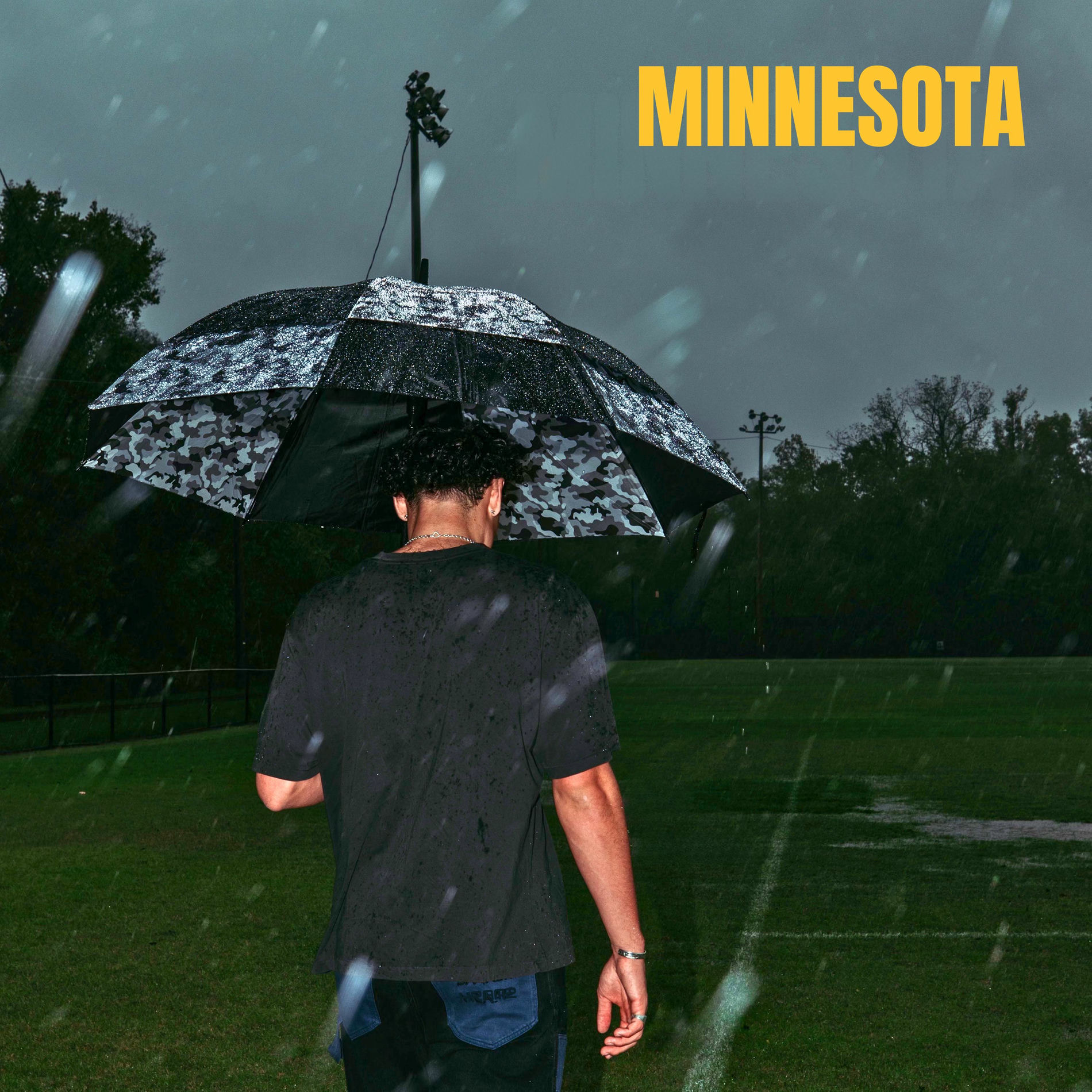 Album cover of MINNESOTA