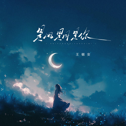 是风是月是你