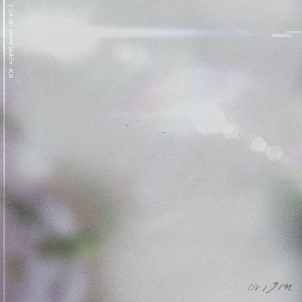 Origin