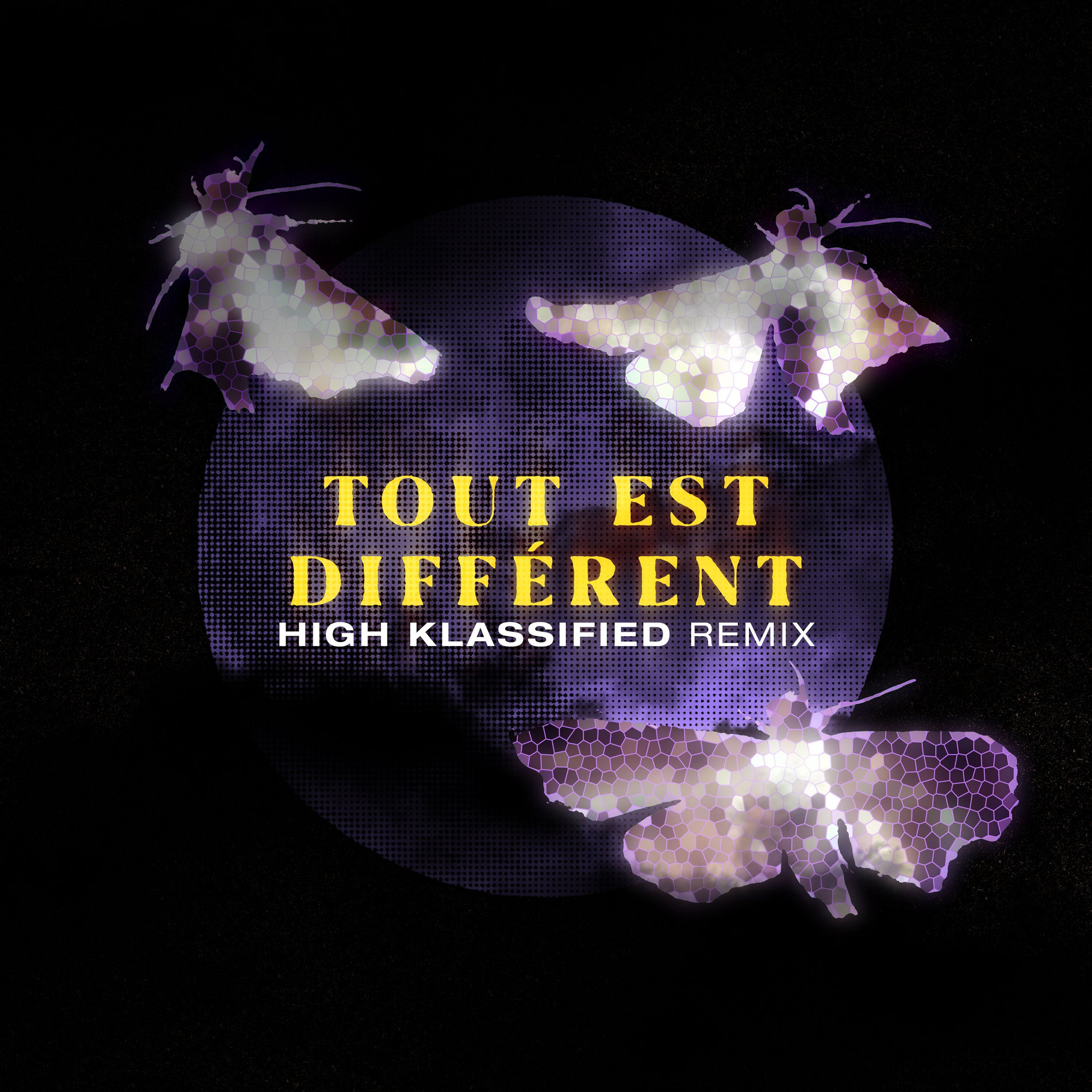 Album cover of Tout est différent (High Klassified Remix)