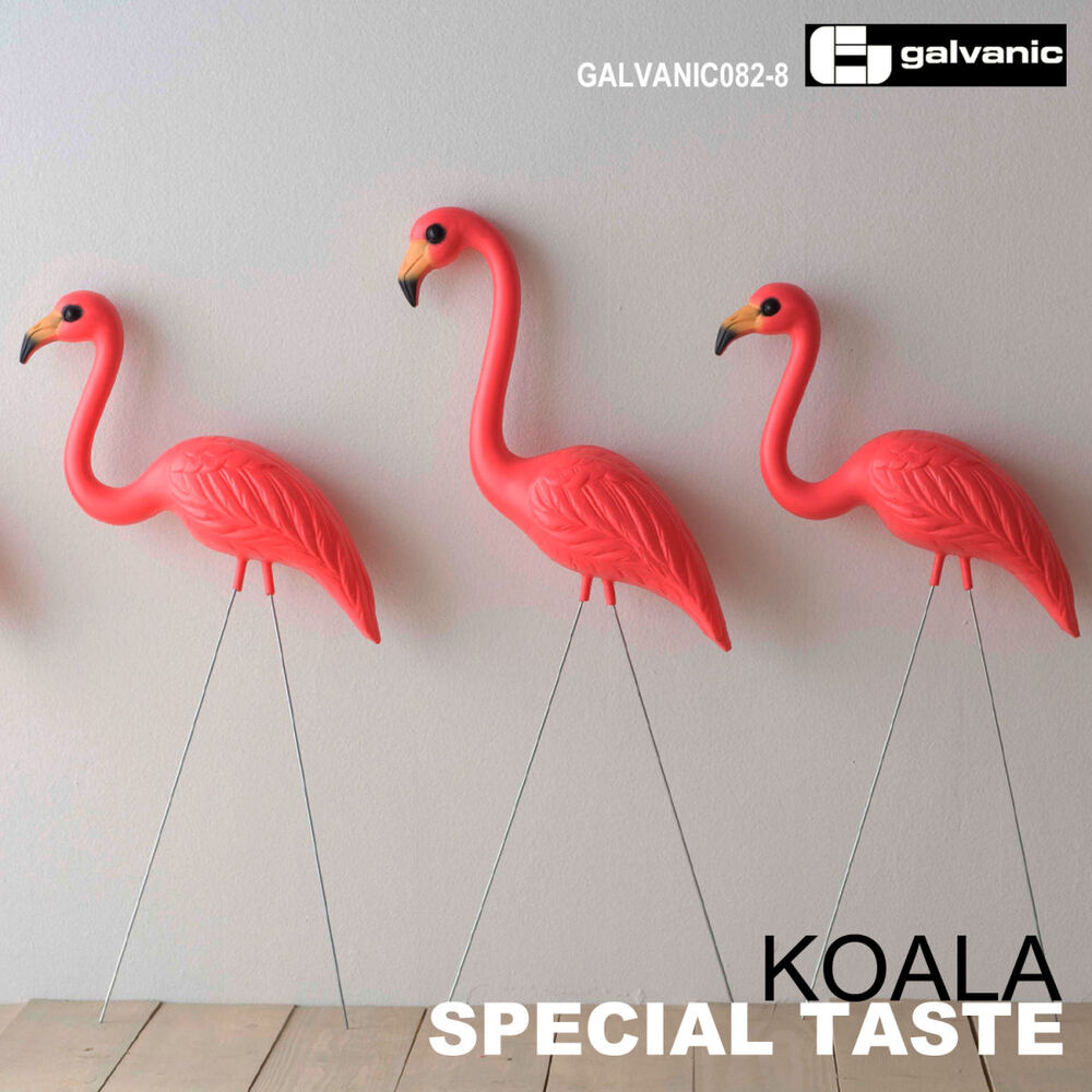 Picture of Koala - Special Taste (MP3 EP)