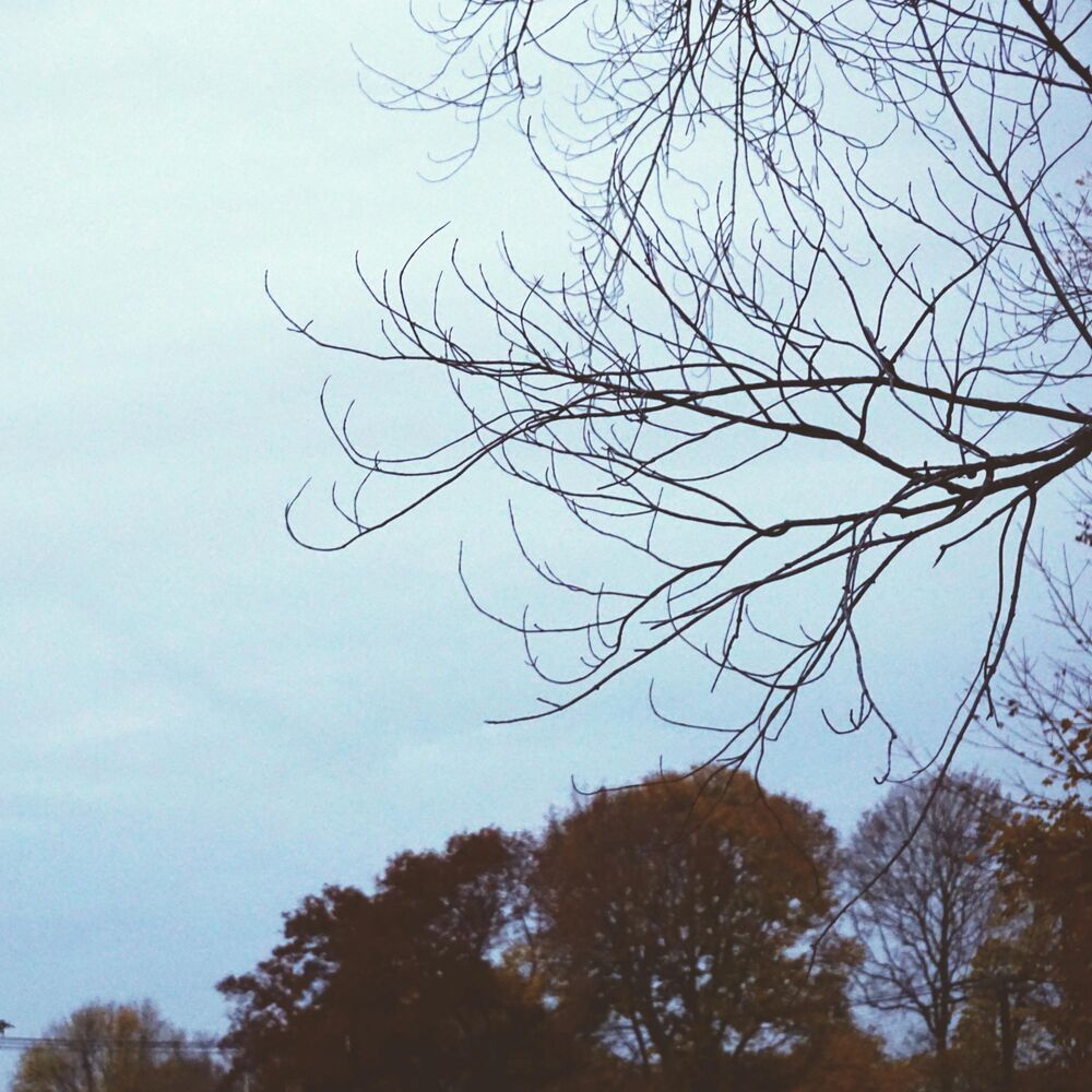 Picture of Autumn Hiss