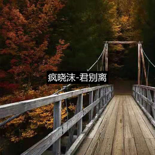 君别离