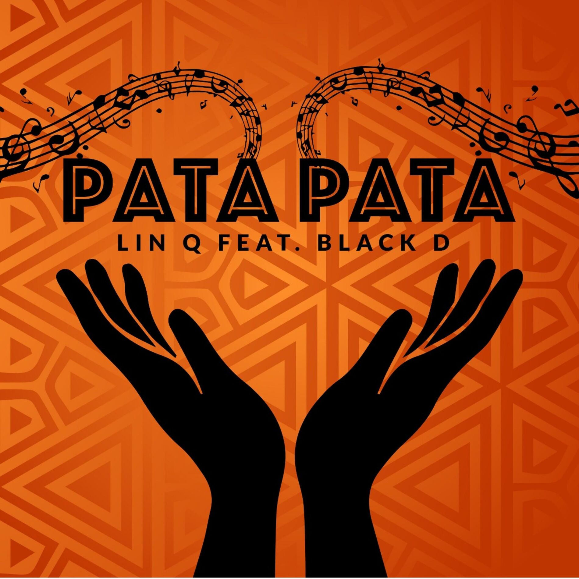 Album cover of Pata Pata (feat. Black D)