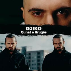 Cover of Çunat e Rrugës
