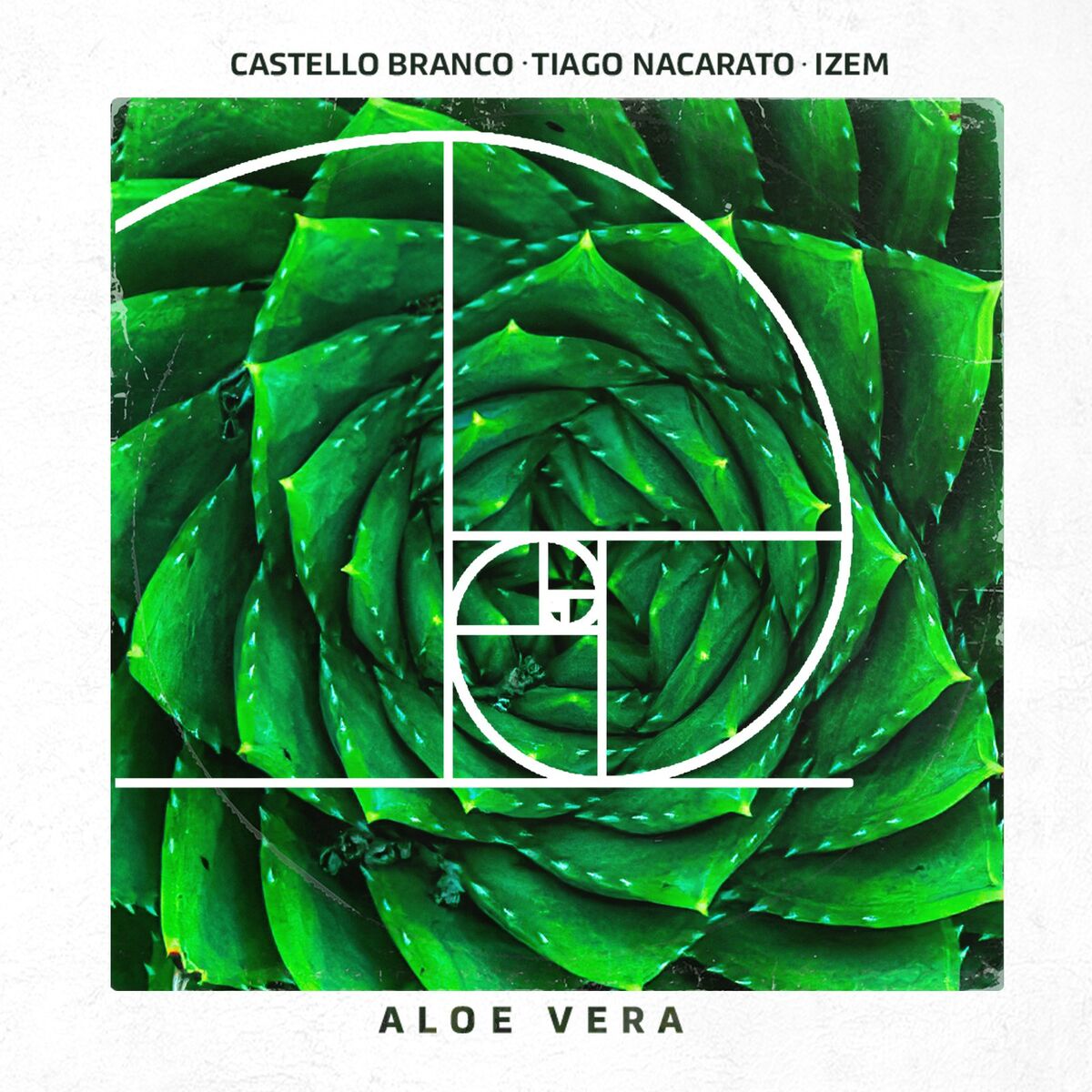 Album cover of Aloe Vera