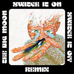 Switch It On, Switch It Off (The Big Moon Remix)