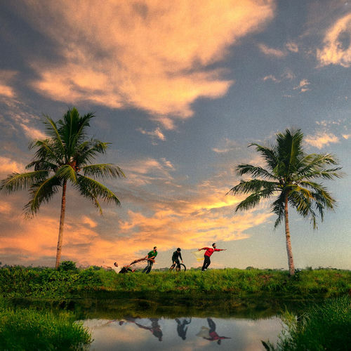 Dreamland