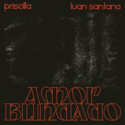 Cover of Amor Blindado