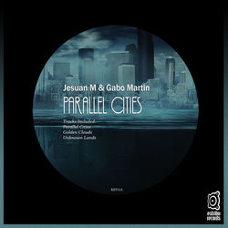 Cover of Parallel Cities by undefined