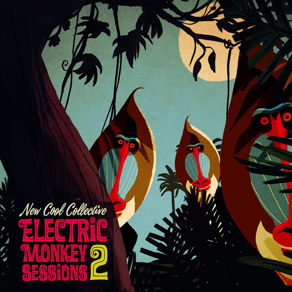 Picture of Electric Monkey Sessions 2