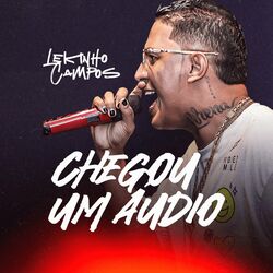 Cover of Chegou um Áudio