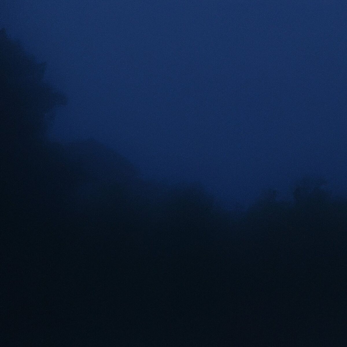 Album cover of fell asleep
