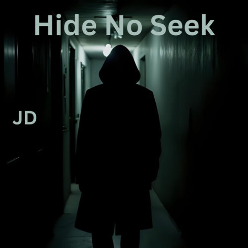 Hide No Seek