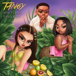 Cover of Tangy (feat. Erica Banks & Jay1) [Remix]