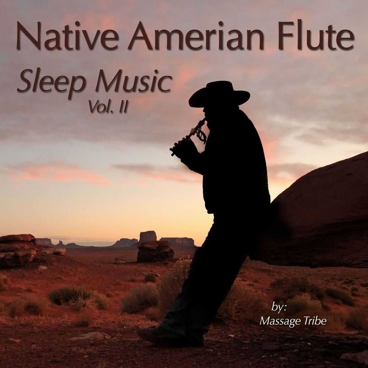 Album cover of Native American Flute Sleep Music, Vol. 2