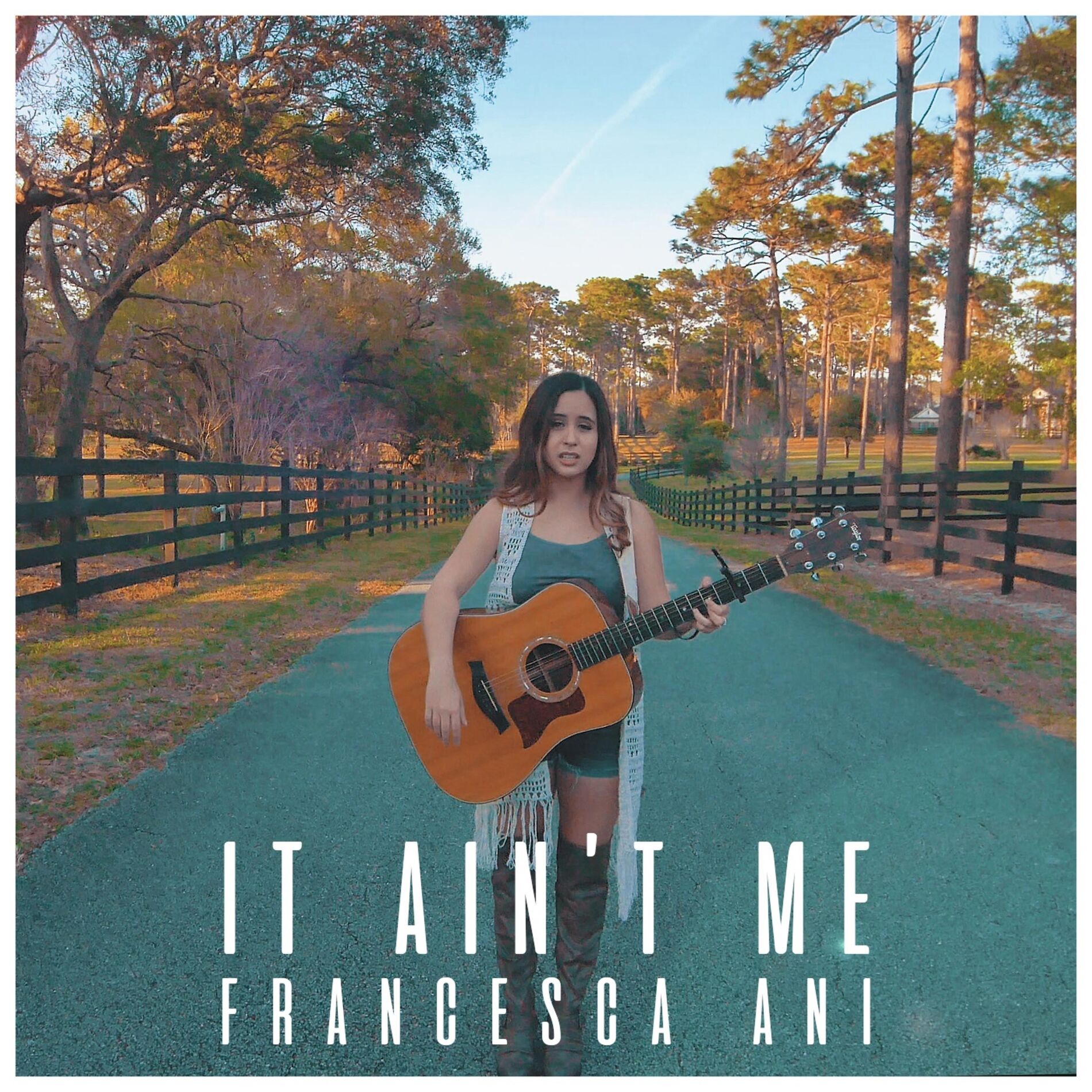 Album cover of It Ain't Me