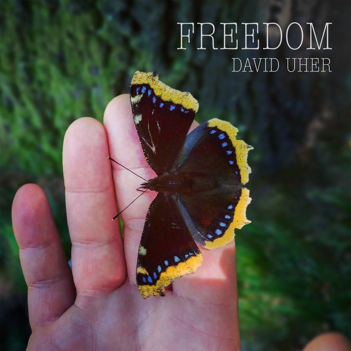 Album cover of Freedom