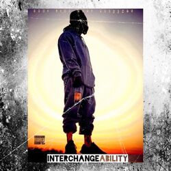 Cover of Interchangeability