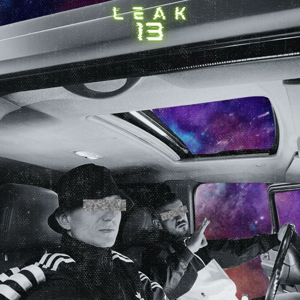 Picture of LEAK13
