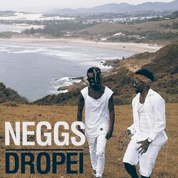 Dropei