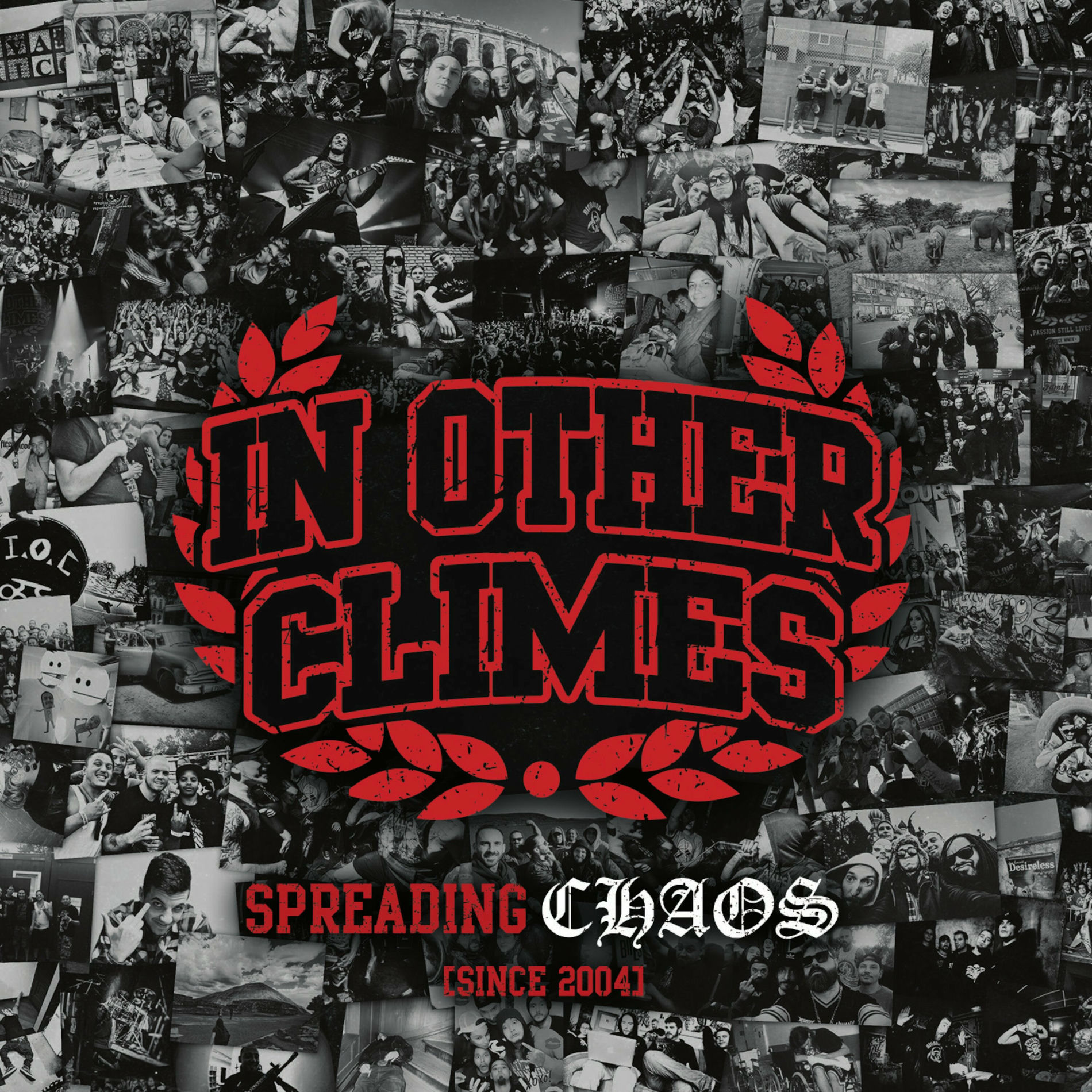 Album cover of Spreading Chaos (Since 2004)