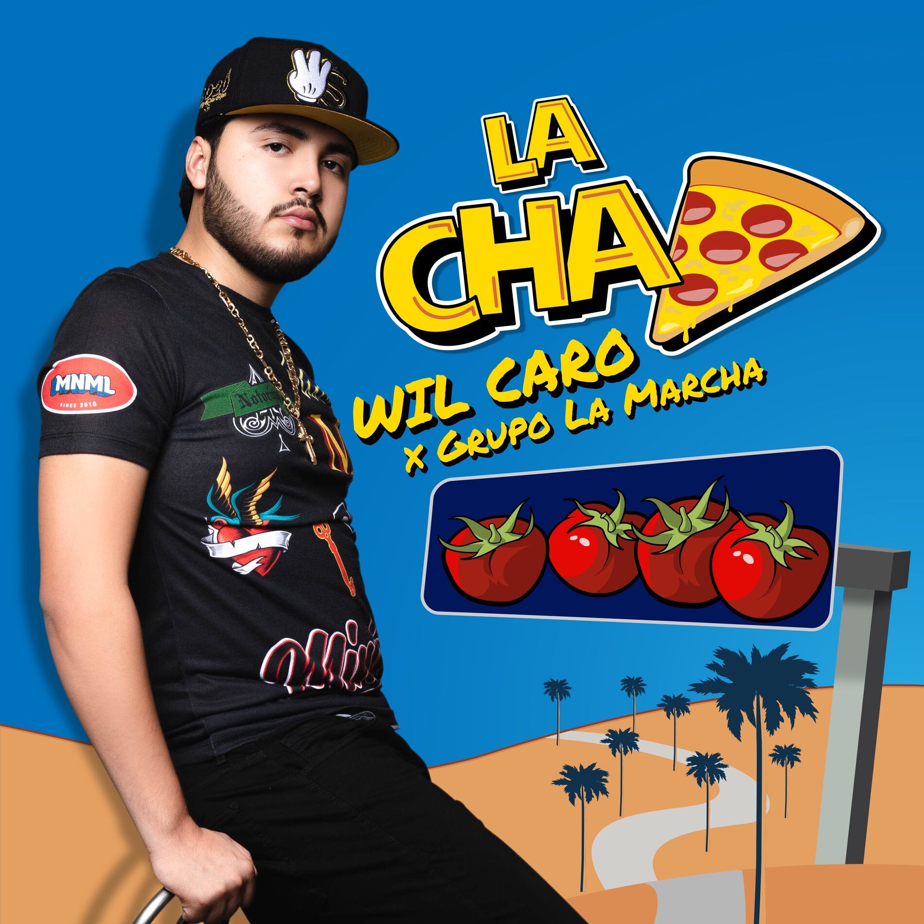 Album cover of La Chapiza