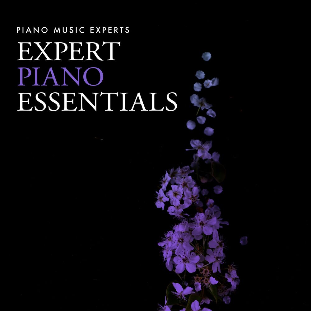Picture of Expert Piano Essentials