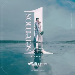 Cover of Seremos Um