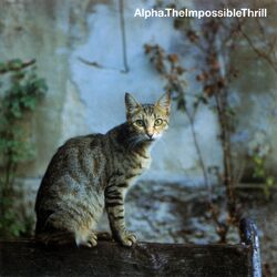 Cover of The Impossible Thrill