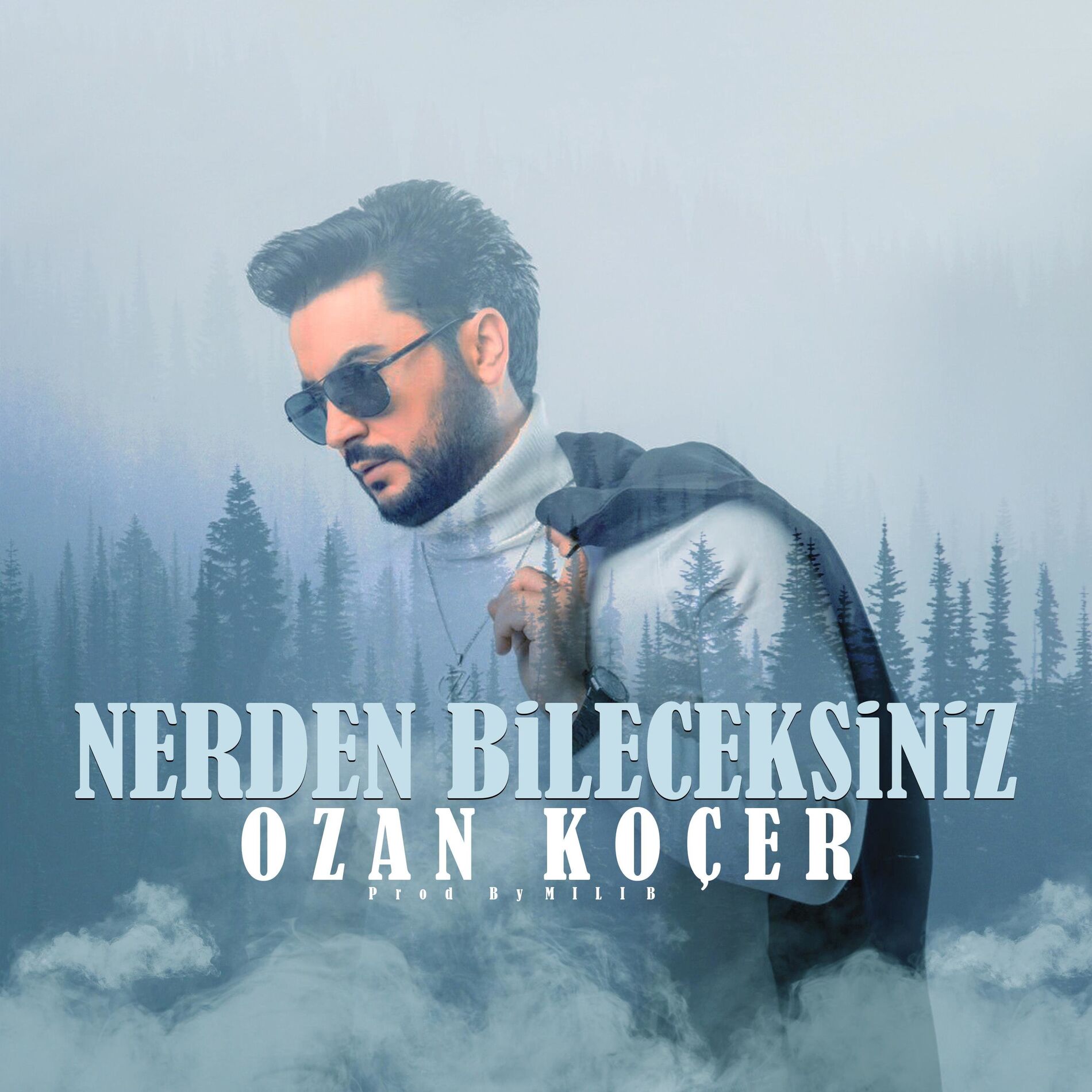 Album cover of Nerden Bileceksiniz