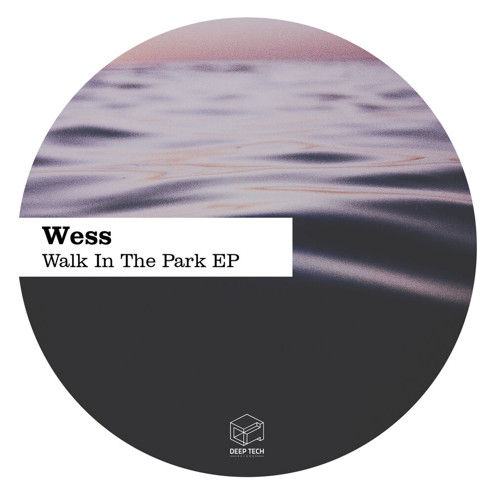 Picture of Walk In The Park EP