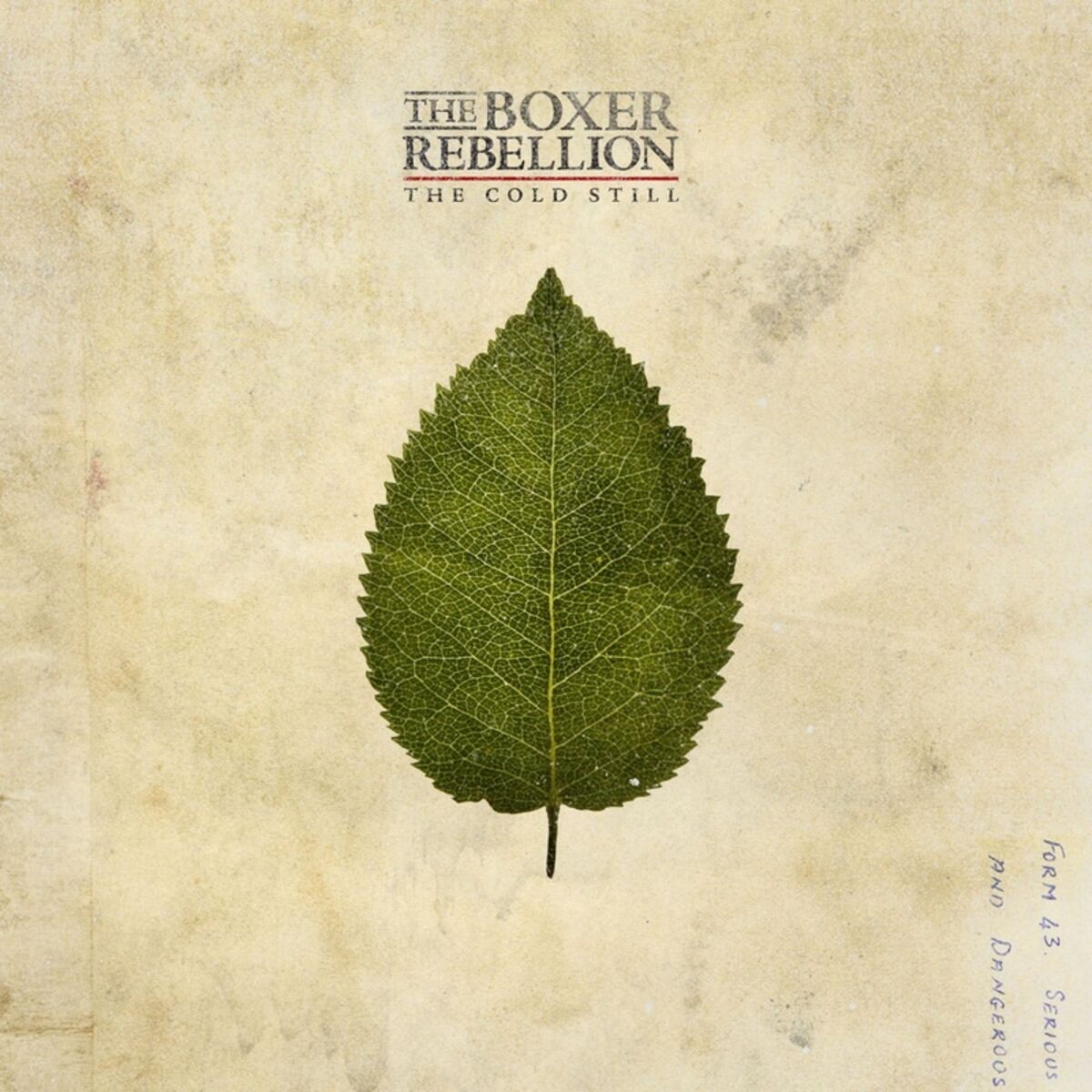 Album cover of The Cold Still