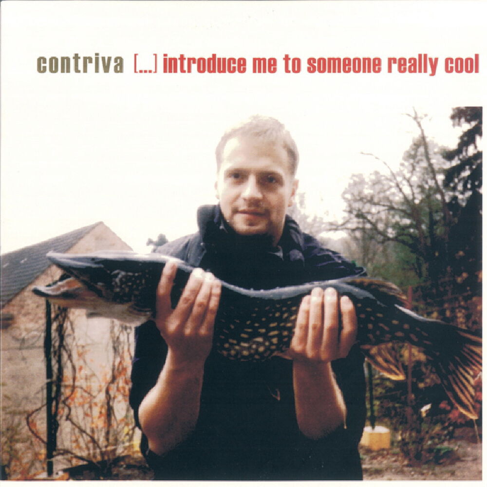 Picture of Introduce Me To Someone Really Cool