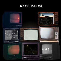 Cover of Went Wrong