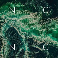 Cover of NGNG