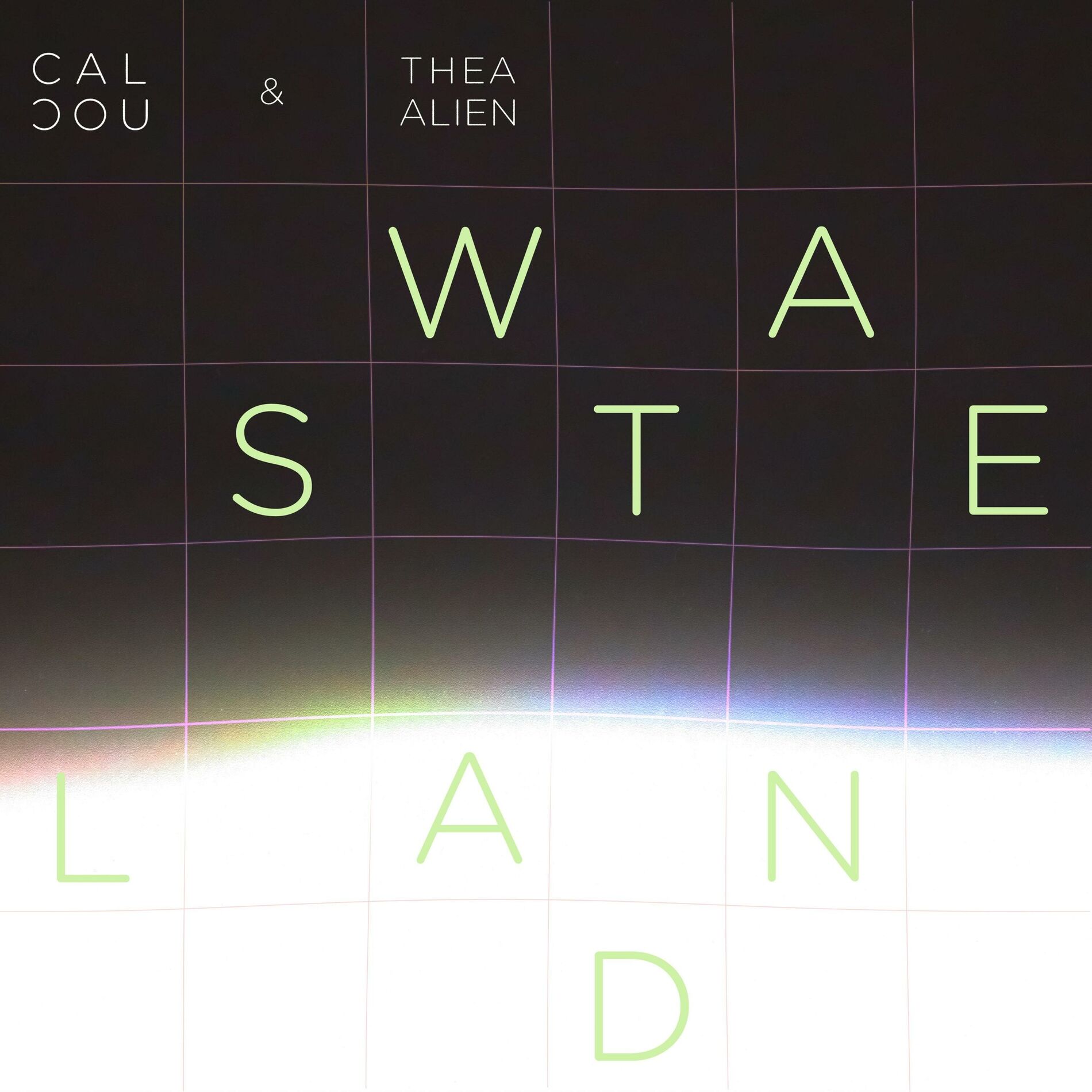 Album cover of Wasteland