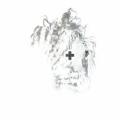 Cover of gold