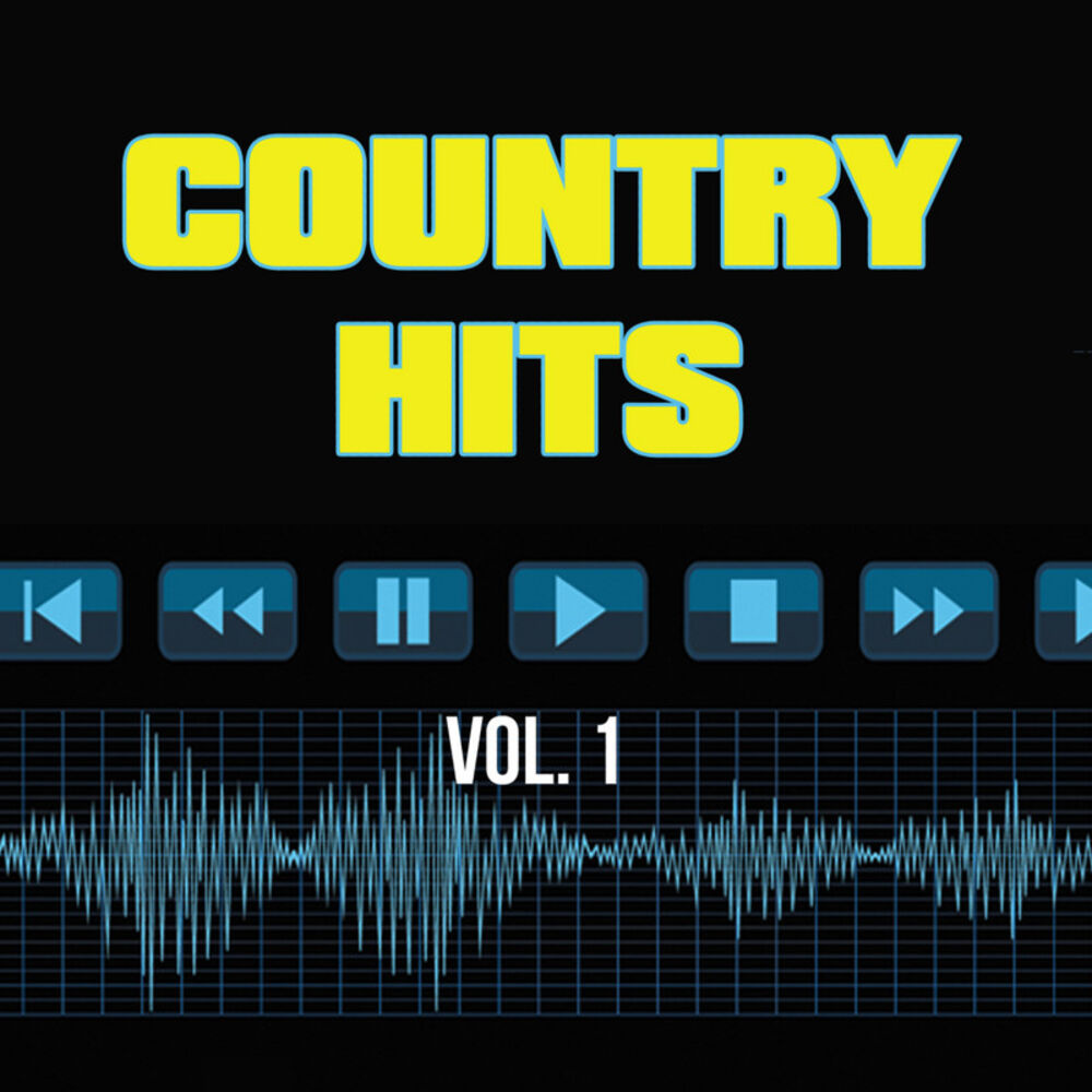 Picture of Country Hits, Vol. 1