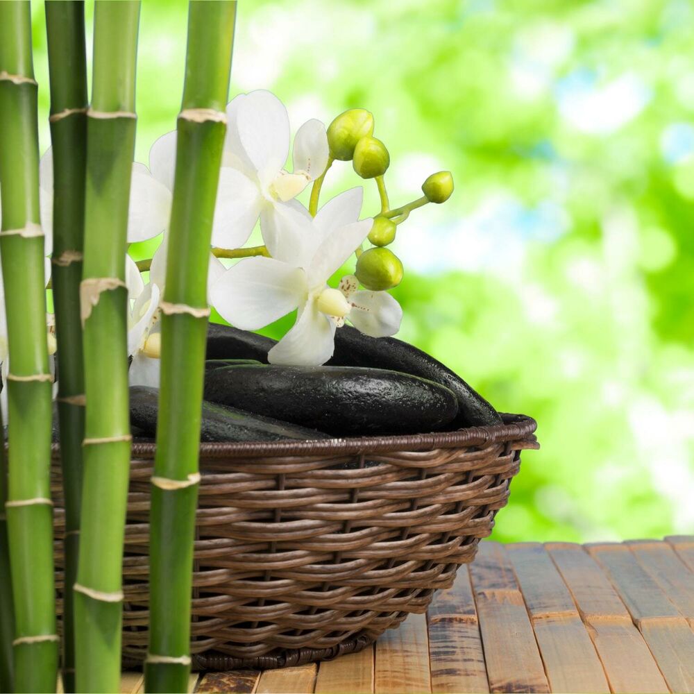 Picture of Mental Health and Wellness: Peaceful Meditation Songs, Inner Peace, Reduce Anxiety, Zen Music, Mind Body Connection
