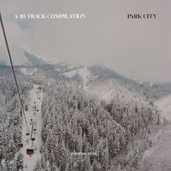 Cover of A 40 Track Compilation: Park City