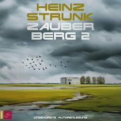Cover of Zauberberg 2 (ungekürzt)