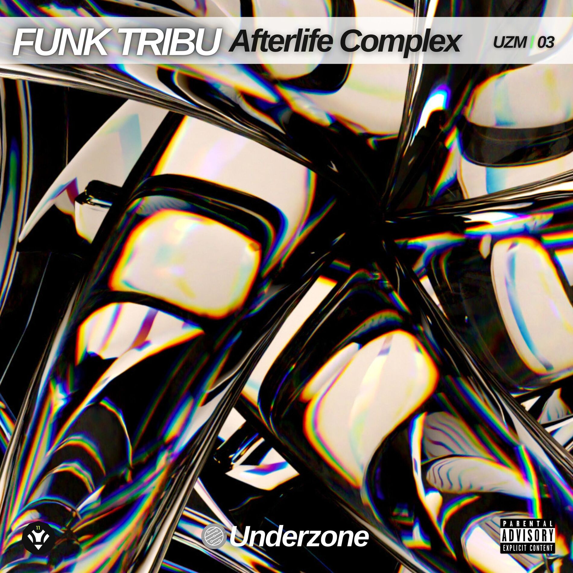Album cover of Afterlife Complex