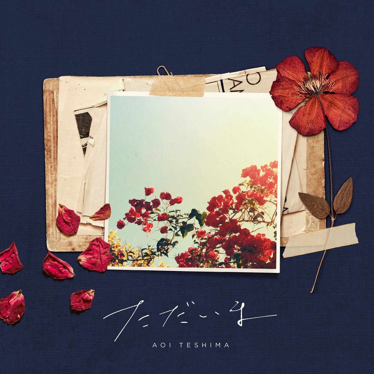 Album cover of Tadaima